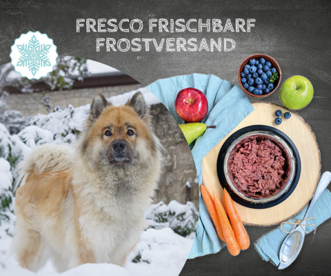 FRESCO_Frostversand