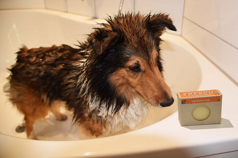 dog PROTECT soap I Tierpflegeseife